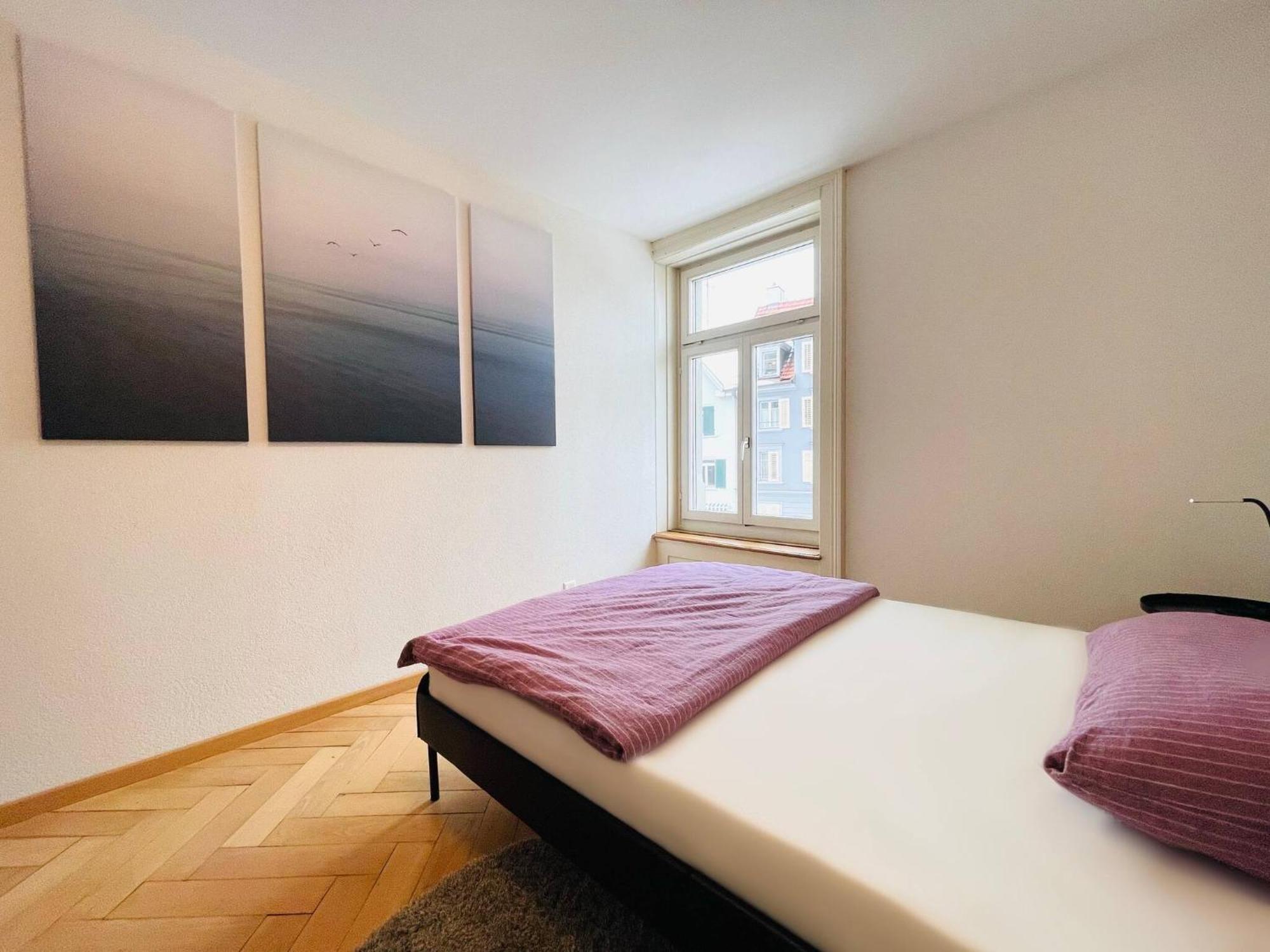Beautiful, Bright, Large Apartment With Balcony Smarttv St. Gallen Exteriér fotografie
